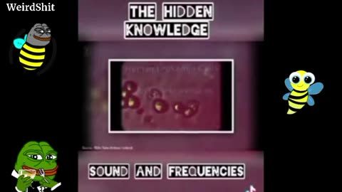 THE HIDDEN KNOWLEDGE | SOUND AND FREQUENCIES