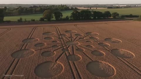 Crop Circle - Hatherden Lane, Charlton, Hampshire, England - 25 July 2023