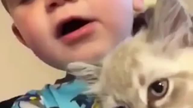 Baby vs cat