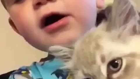 Baby vs cat