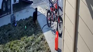 Guy Unloading Trailer Falls on Ramp