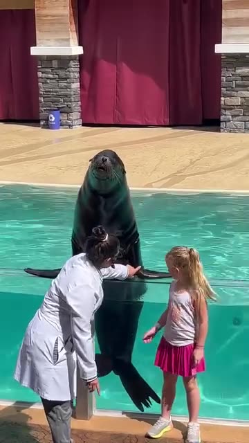 Little girls takes a selfish with a walrus