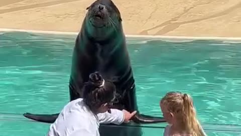 Little girls takes a selfish with a walrus