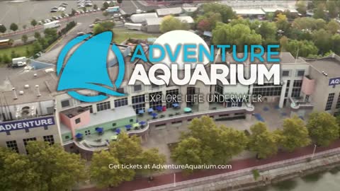 2017 Adventure Aquarium Commercial _30