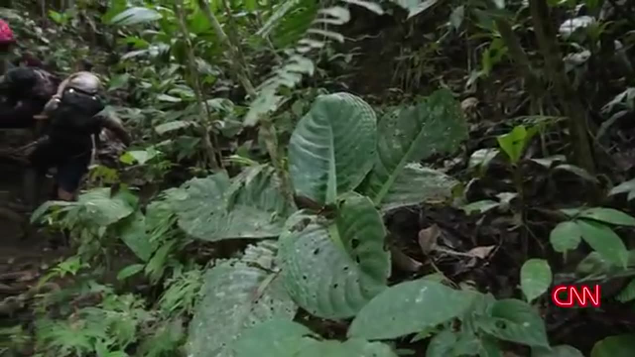 A Migrant trail to America