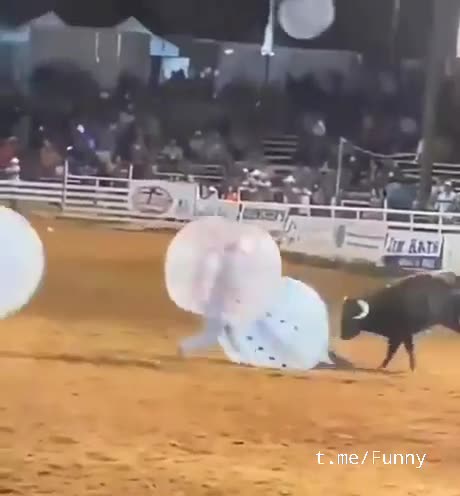 bull launch