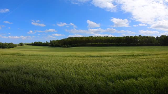 amazing😍🤩 windy field nature view#feel #nature #enjoying #anyworld #relaxing