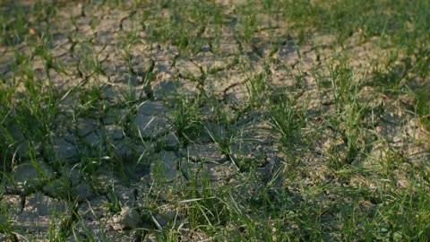 Is Climate Change the Same as Global Warming_ – We Asked a NASA Expert