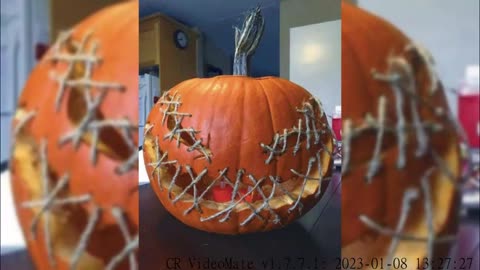 unique and creative Halloween pumpkin • unique pumpkin decorating ideas