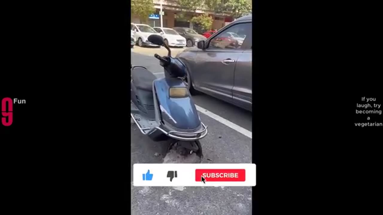 Funny video 15