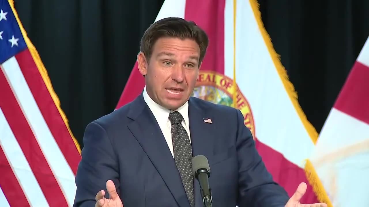 THIS is why Floridians should vote NO on Amendment 3. Gov Ron DeSantis