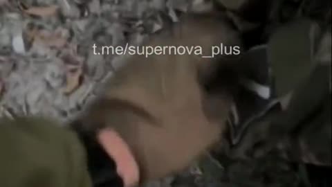 👀 Video of the capture of Major Tomov's group!