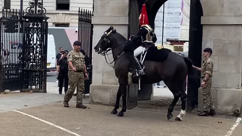 Queen’s Guard Horse Goes Crazy