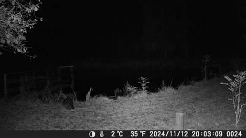 Teich121124