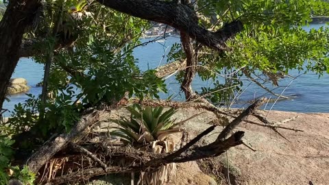 19/28 - Experiência imersiva pelas Praias de Governador Celso Ramos até a Praia das Conchas