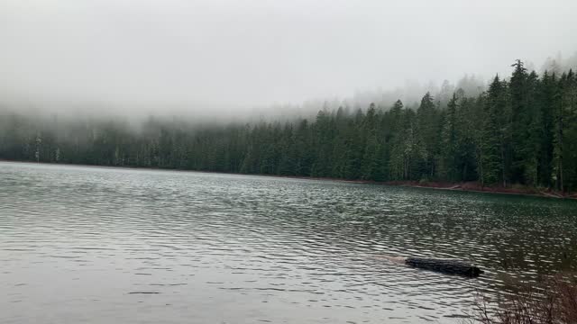 Foggy Forest Lake – Mount Hood National Forest – Oregon – 4K