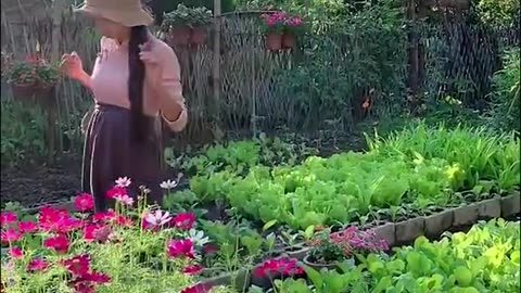 Enjoy beautiful nature with rural life