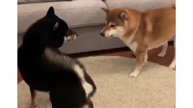 What the move called??