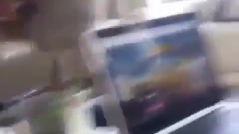 Two cats fighting
