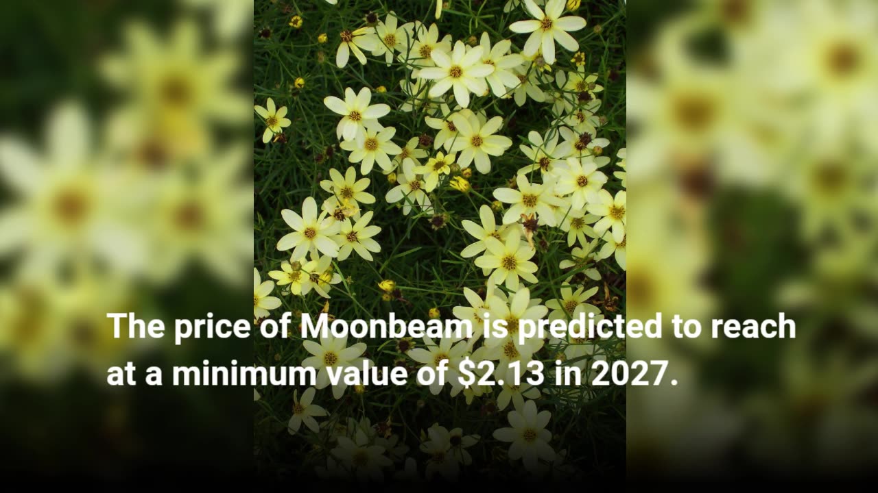 Moonbeam Price Prediction 2023, 2025, 2030 Future of GLMR