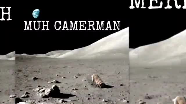 Kids see it the easiest. Those with the least programming see it.