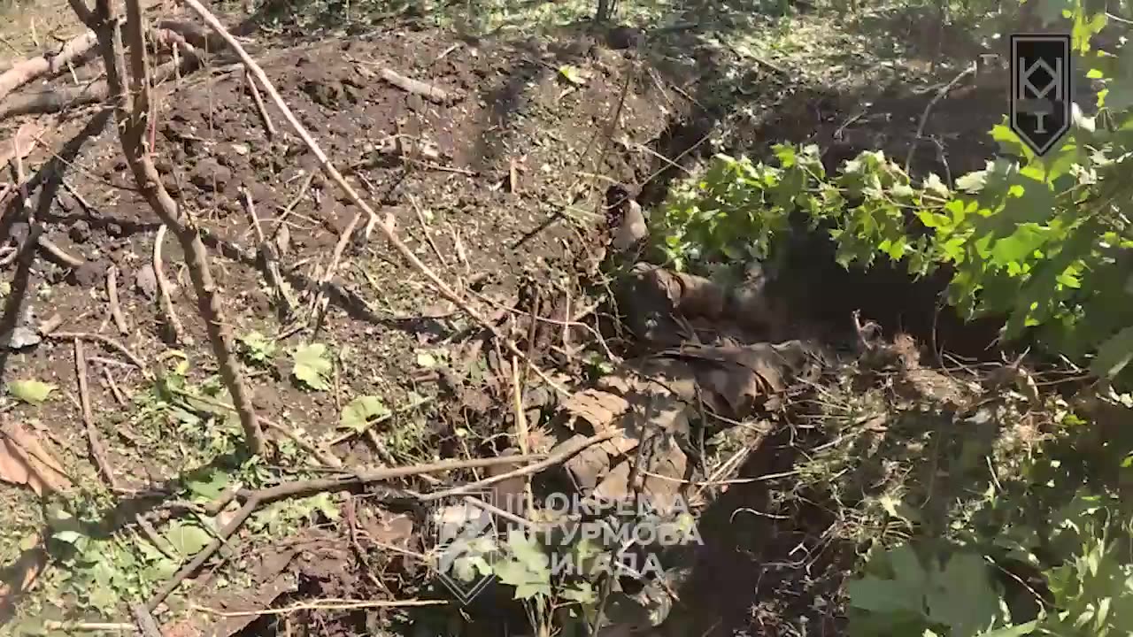 Ukrainian Assault Group Storming Russian Trenches(Insane)