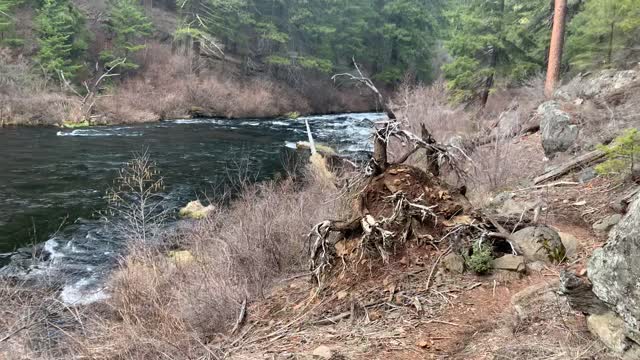 Impossible to Pick a Favorite Section – Metolius River – Central Oregon