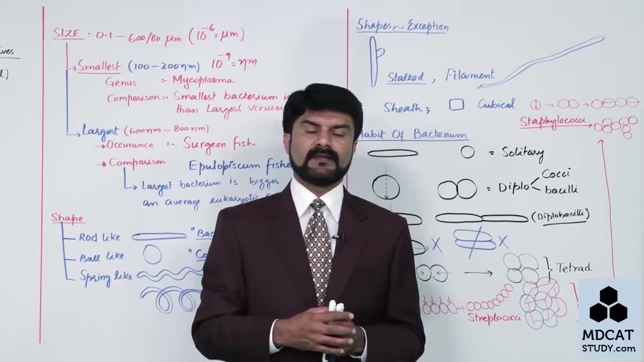 LEC#2 STRUCTURE AND SHAPE OF BACTERIA