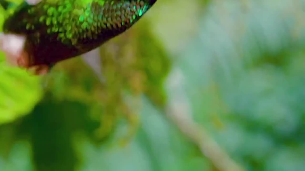 The beauty of Nature
