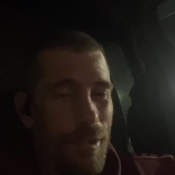 Pigs causing anarchy