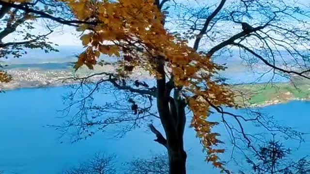 A beautiful autumn