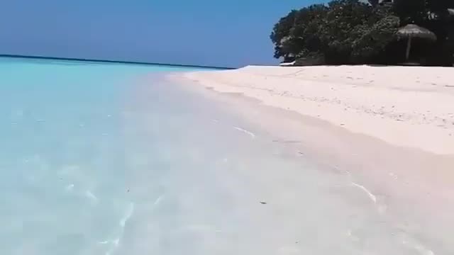 White Sand Cristal Clear Sea