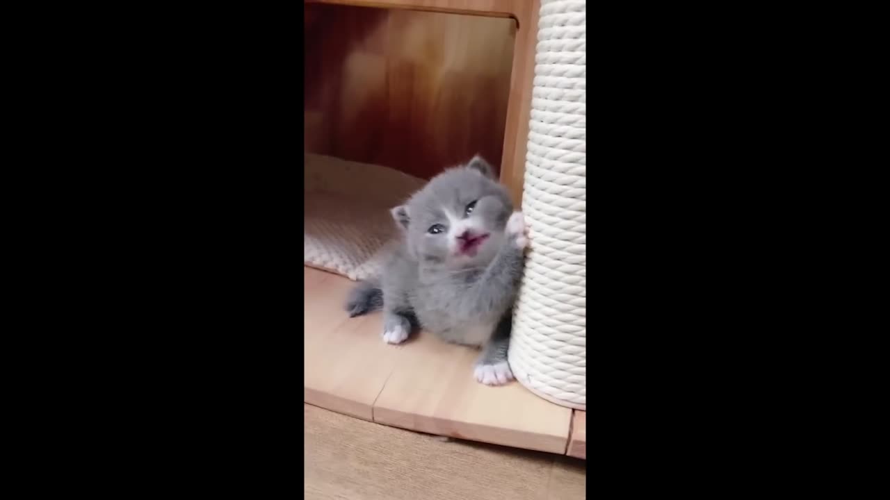 YOU LAUGH YOU MOAN | MEMES