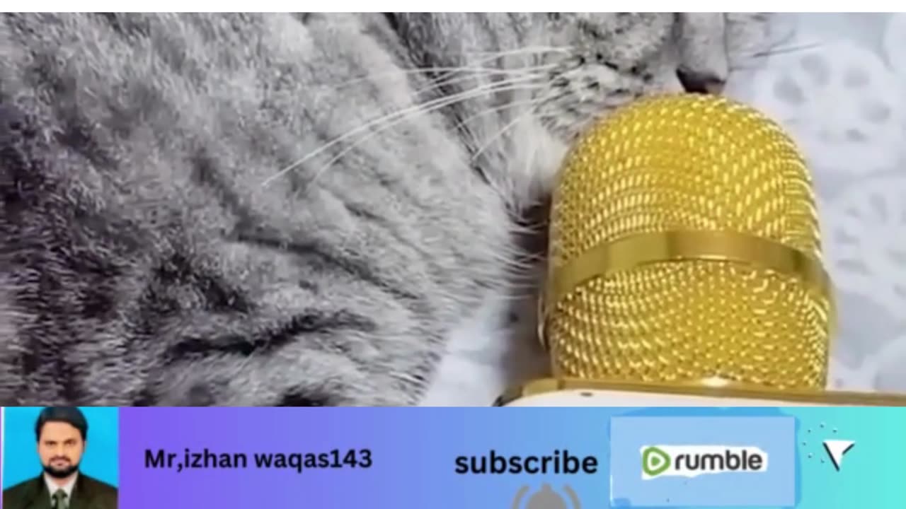 OMG So Cute ♥ Funniest Cats and Dogs Videos 2023 #4. Mrizhanwaqas143