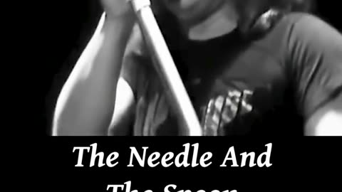 The Needle 💉 And The Spoon 🥄 ~ Lynyrd Skynyrd