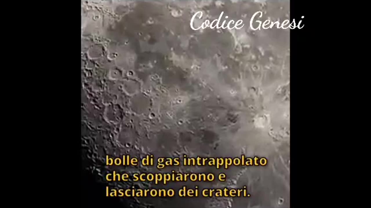 Invece io convinto che la cagnetta laika stesse cercando l'osso . Scusate Quel video era falso