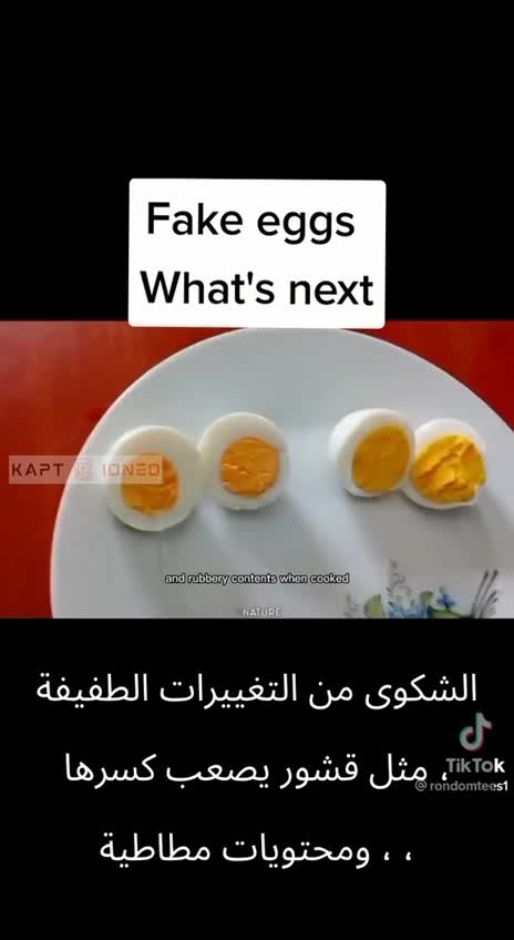 Fake Eggs? What's Next?