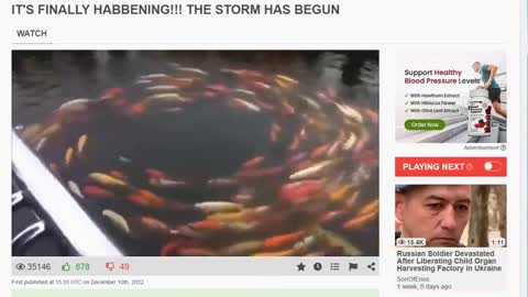 2023.FALSE.LIGHT.SPIRIT.OFANTICHRIST.REBELLION.STORM.NOAH.ANIMALS.CIRCLE.ARK.FLOOD!