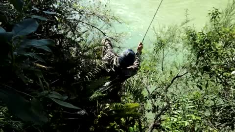 Fish and Forage in Silence ASMR