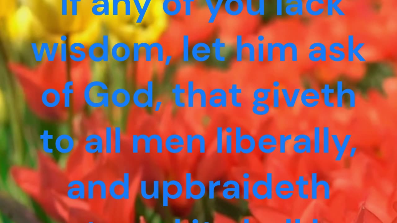 If any of you lack wisdom, let him ask of God, that giveth to all men liberally James 1:5 KJV