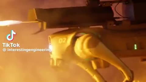 Flame thrower dog robot