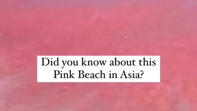 The pink beach located on kamado island in Indonesia