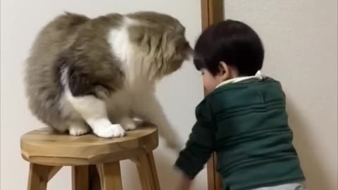 Cat Blocks Little Boy's Door Opening Attempts