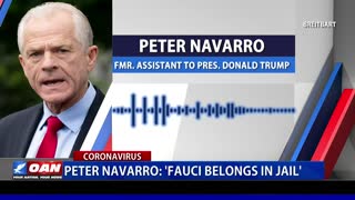 Peter Navarro: Anthony Fauci belongs in jail