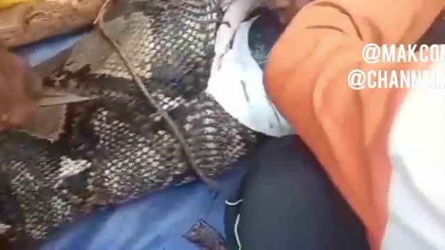 Woman eaten by python