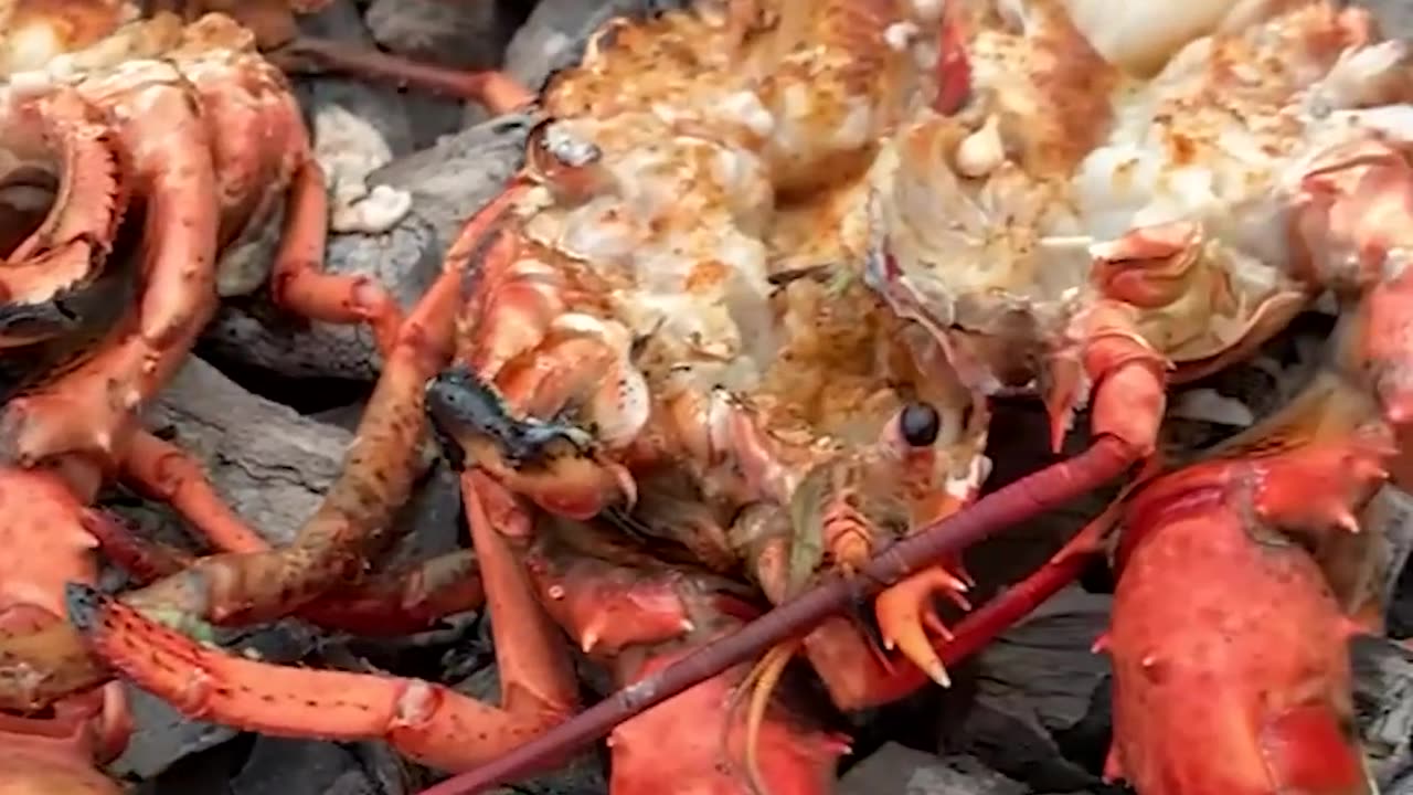 Coal Roasted Baja Lime Lobster Recipe! | Over The Fire Cooking by Derek Wolf