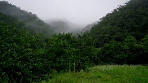 The car camping in the rain, listening to the rain is really decompression