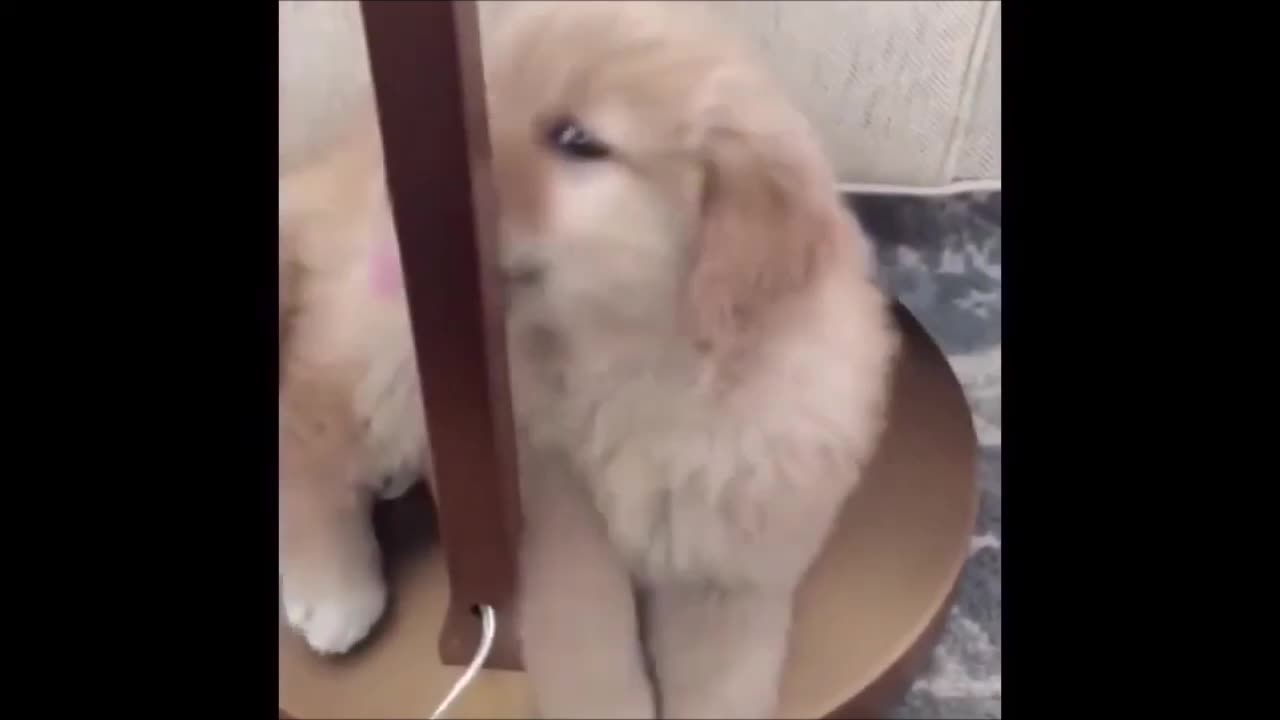 Episode 2 - Cannot stop laughing