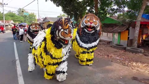 Barongsai Beda Corak Arak-Arakan