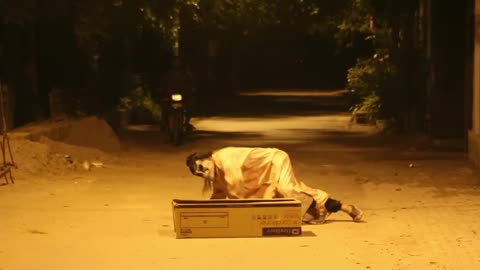 SCARY NIGHT GHOST PRANK ON DOGS AT 2 AM